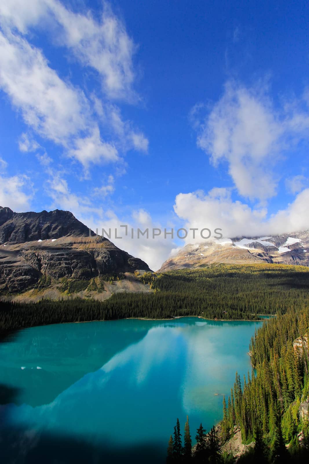 Lake O'Hara, Yoho National Park, British Columbia, Canada by donya_nedomam