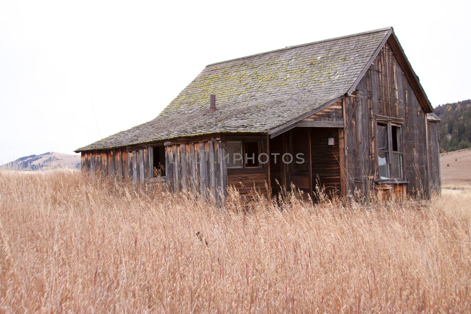 An old homestead/ghost town