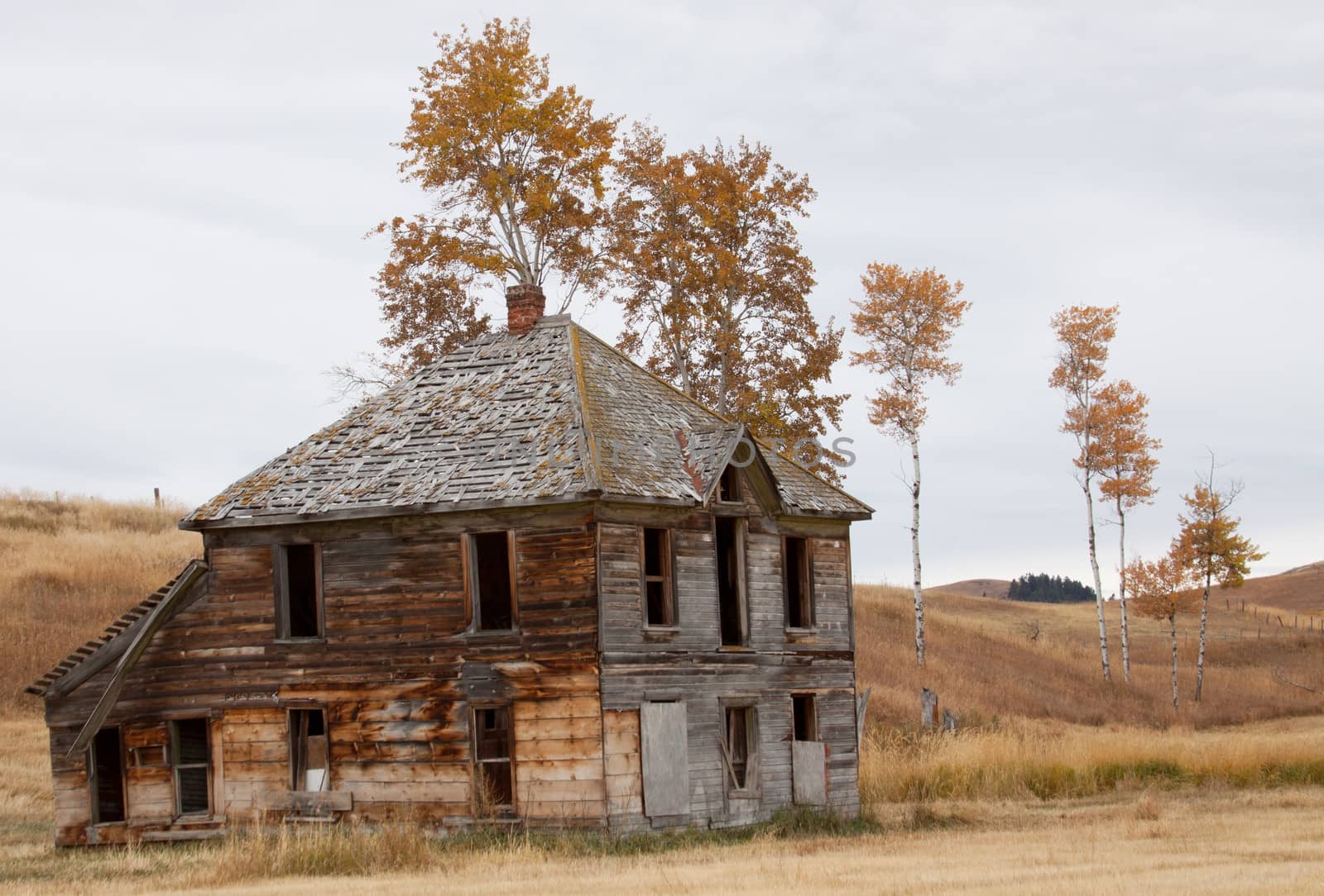 Upper Okanogan Highlands Old Homestead. by MaryHathaway