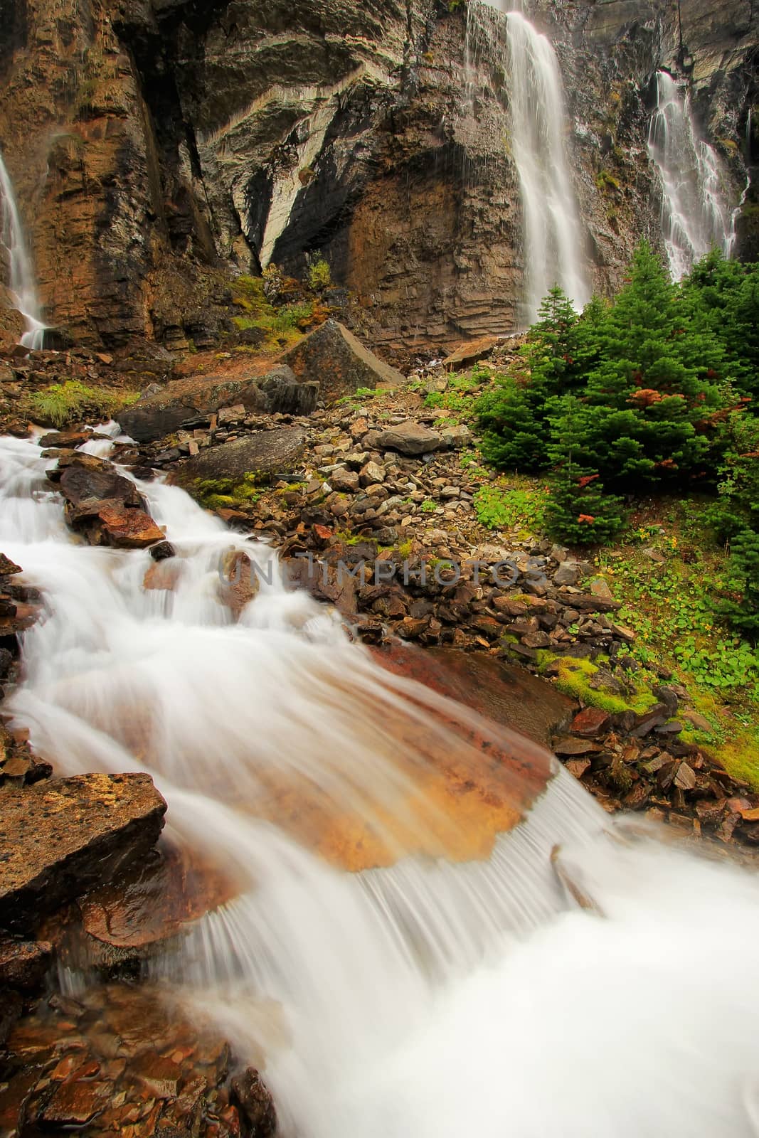 Seven Veils Falls, Lake O'Hara, Yoho National Park, Canada by donya_nedomam