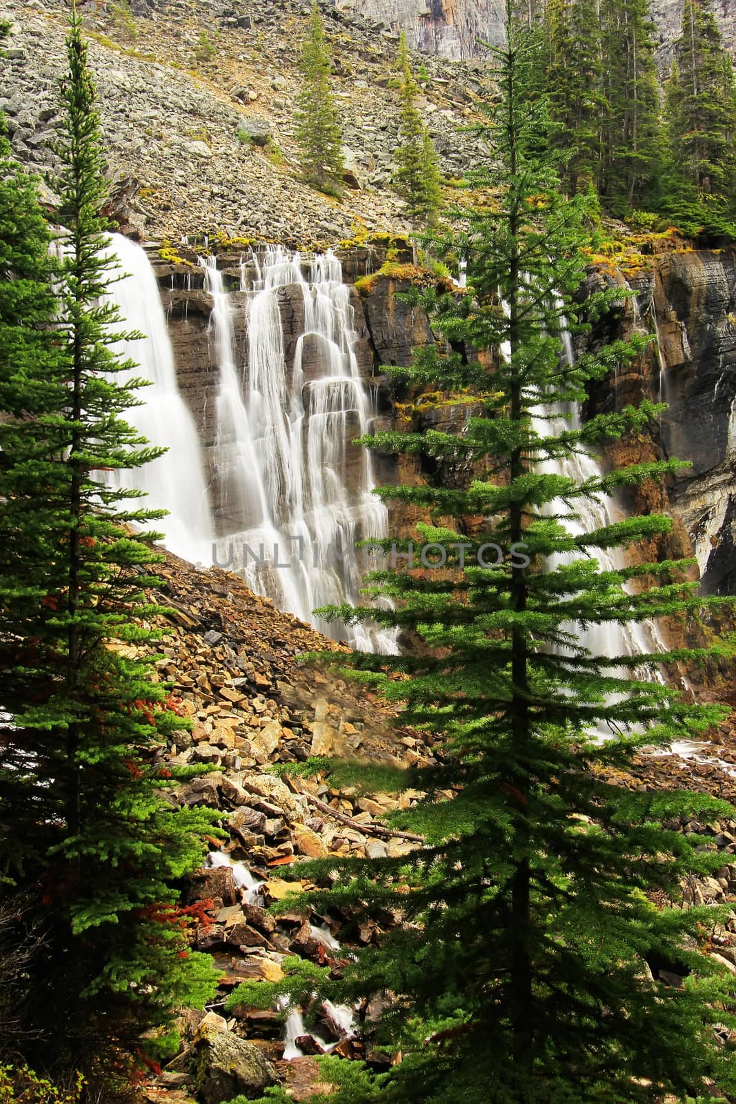 Seven Veils Falls, Lake O'Hara, Yoho National Park, Canada by donya_nedomam