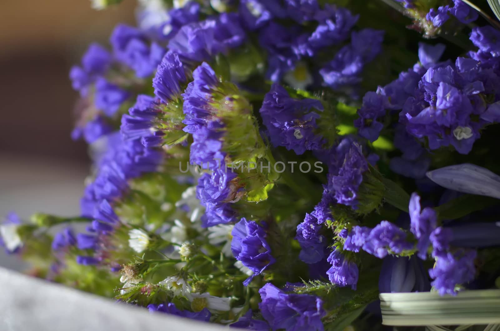 Close-up of purple wedding bouquet