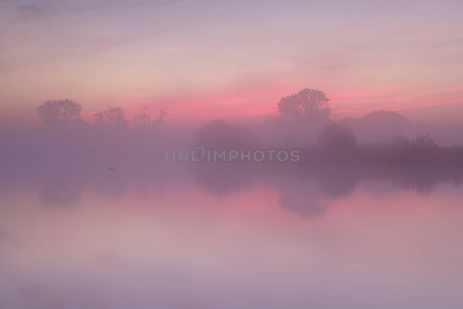 red  misty sunrise over calm lake, Drenthe, Netherlands