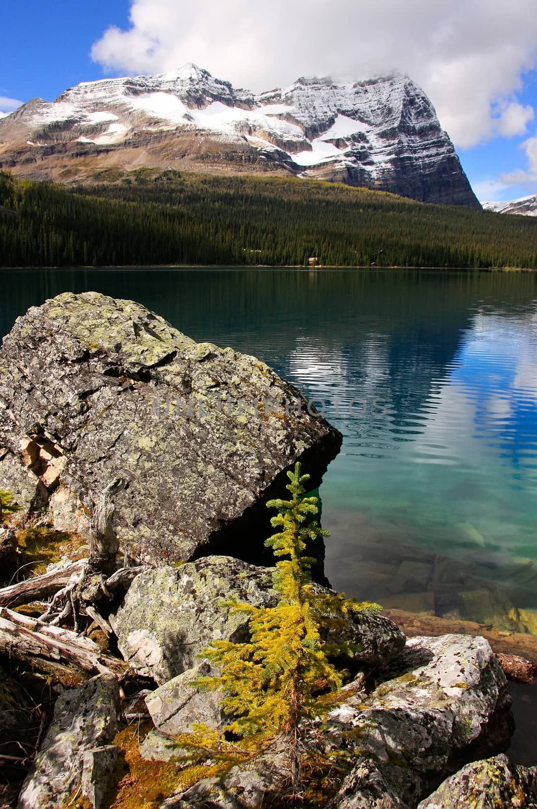 Lake O'Hara, Yoho National Park, British Columbia, Canada