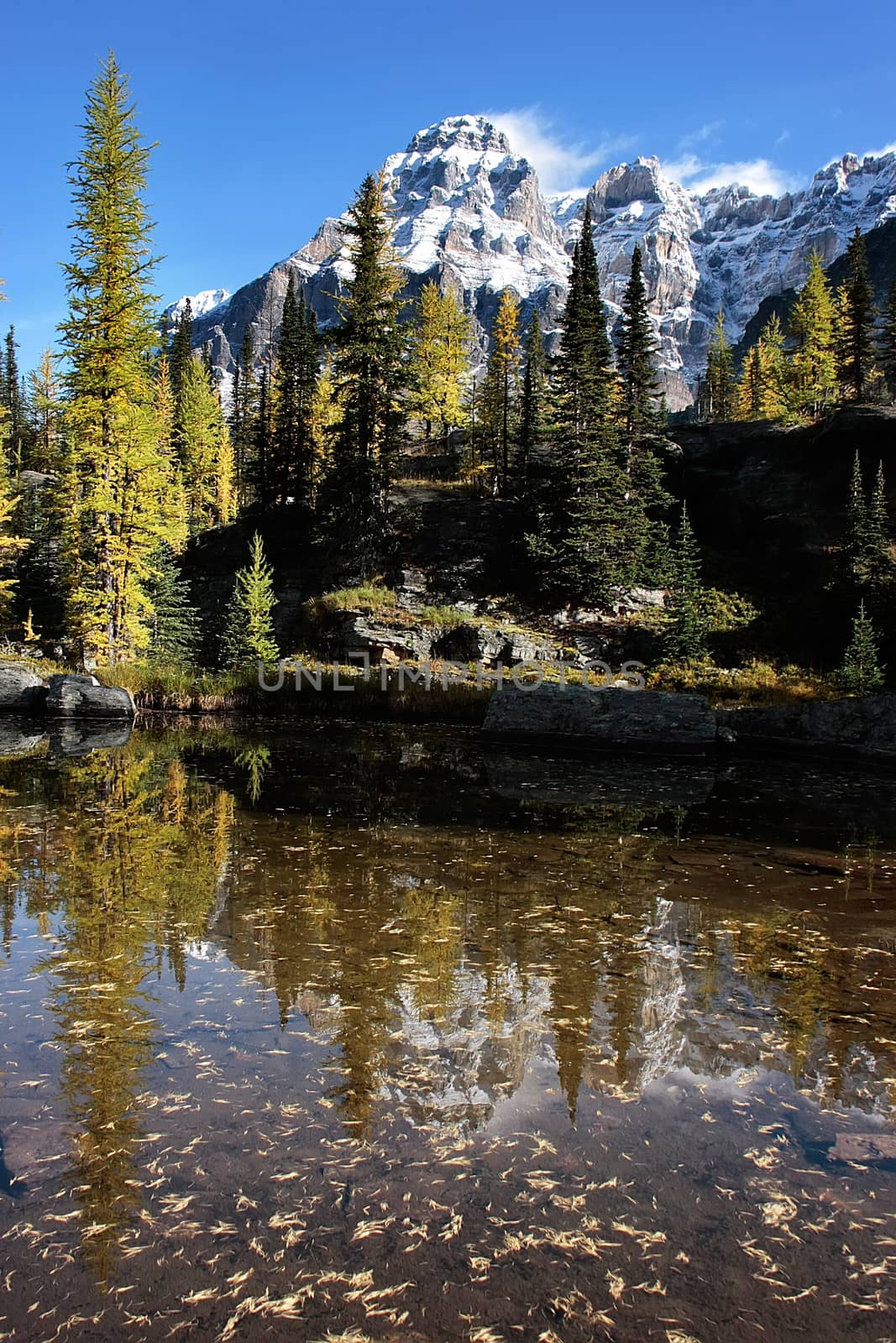 Mount Huber and Opabin Plateau, Yoho National Park, Canada by donya_nedomam