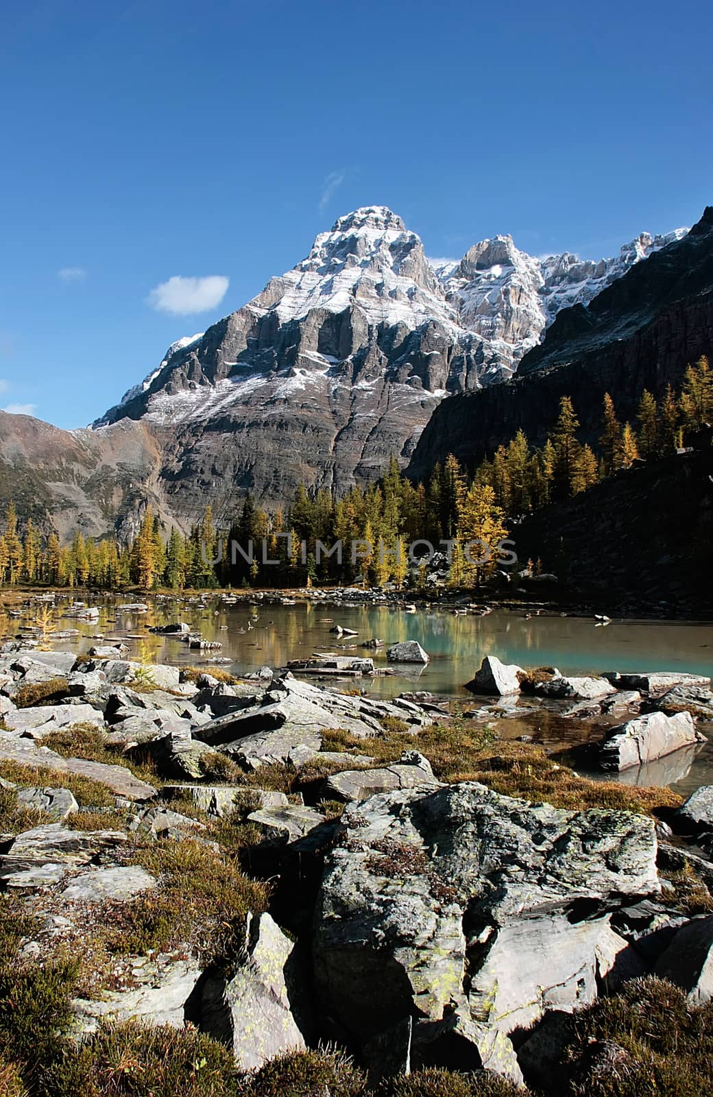 Mount Huber and Opabin Plateau, Yoho National Park, British Columbia, Canada