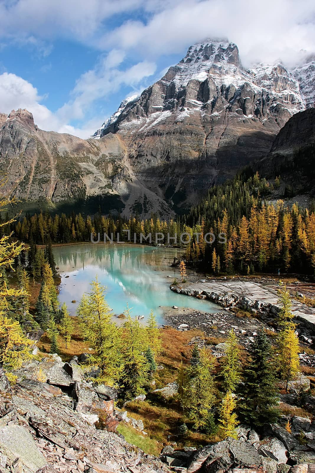 Mount Huber and Opabin Plateau, Yoho National Park, Canada by donya_nedomam