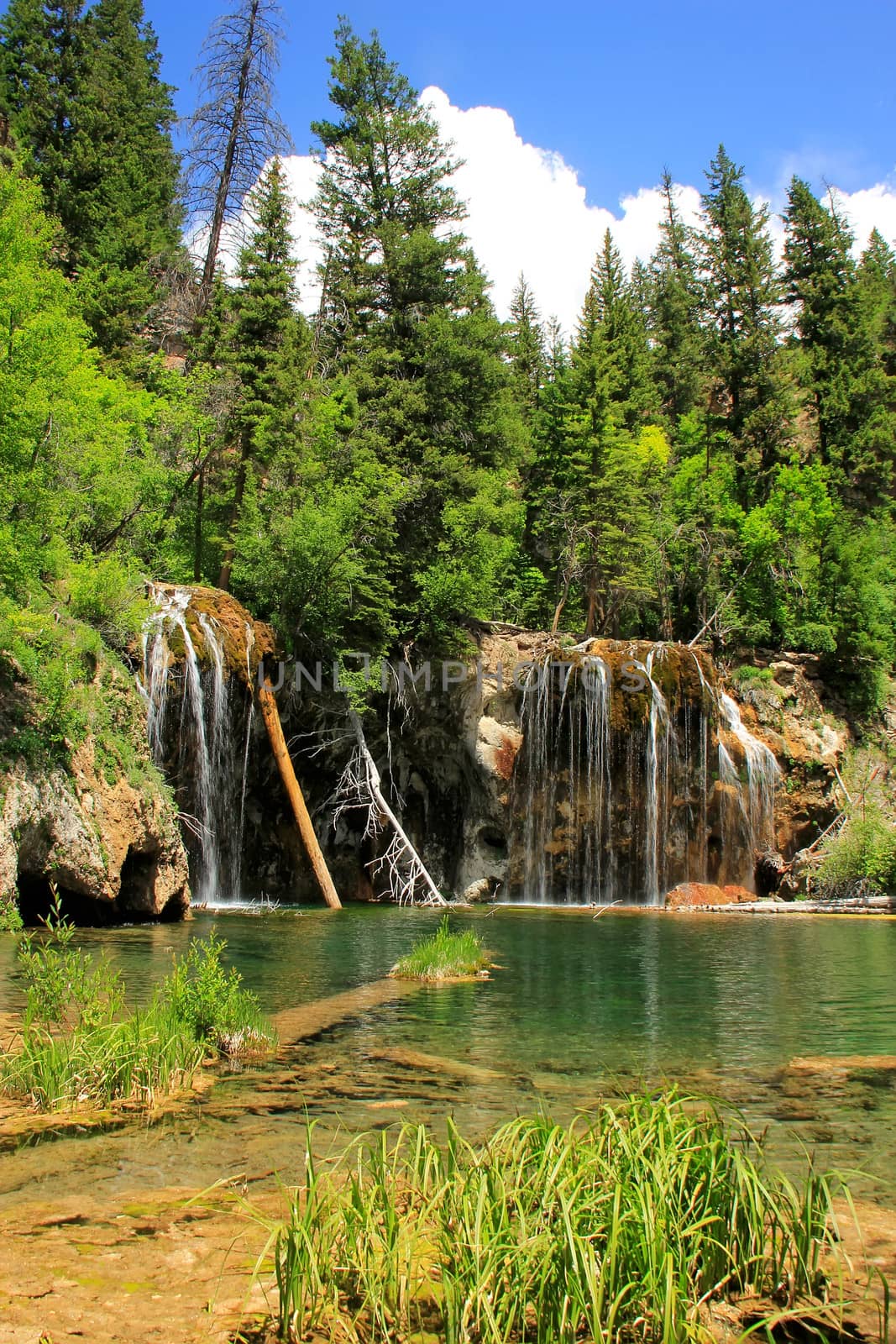 Hanging lake, Glenwood Canyon, Colorado by donya_nedomam