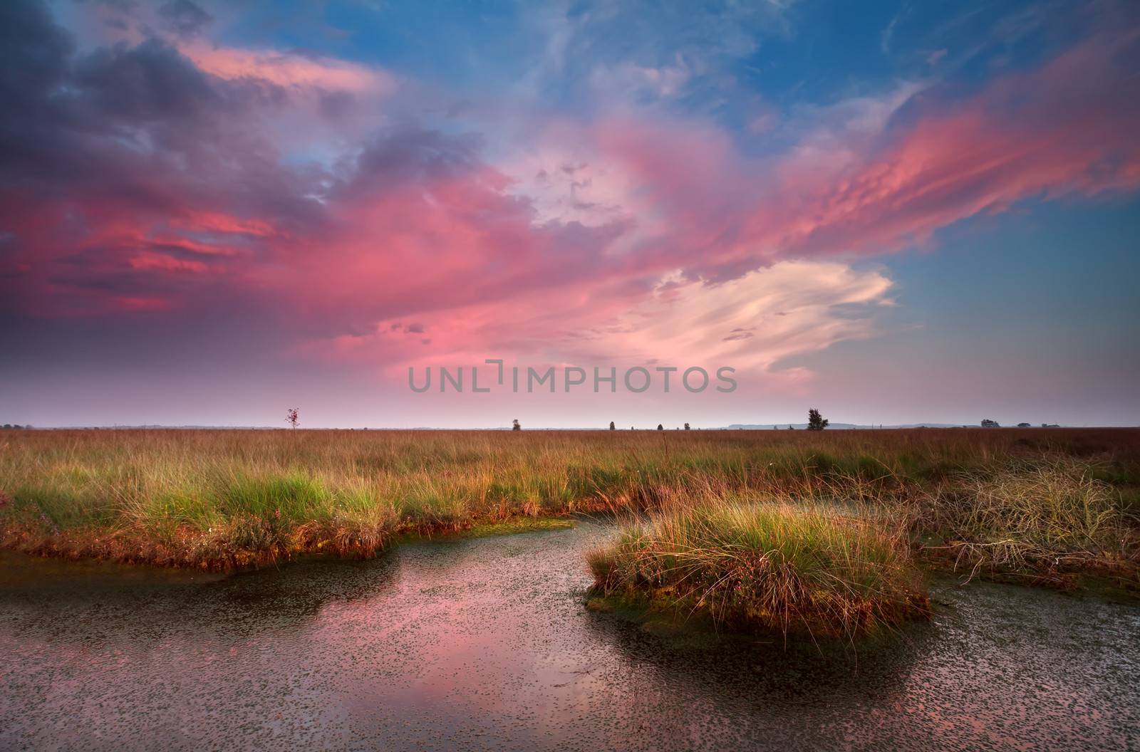 dramatic pink sunset over bog, Fochteloerveen, Netherlands