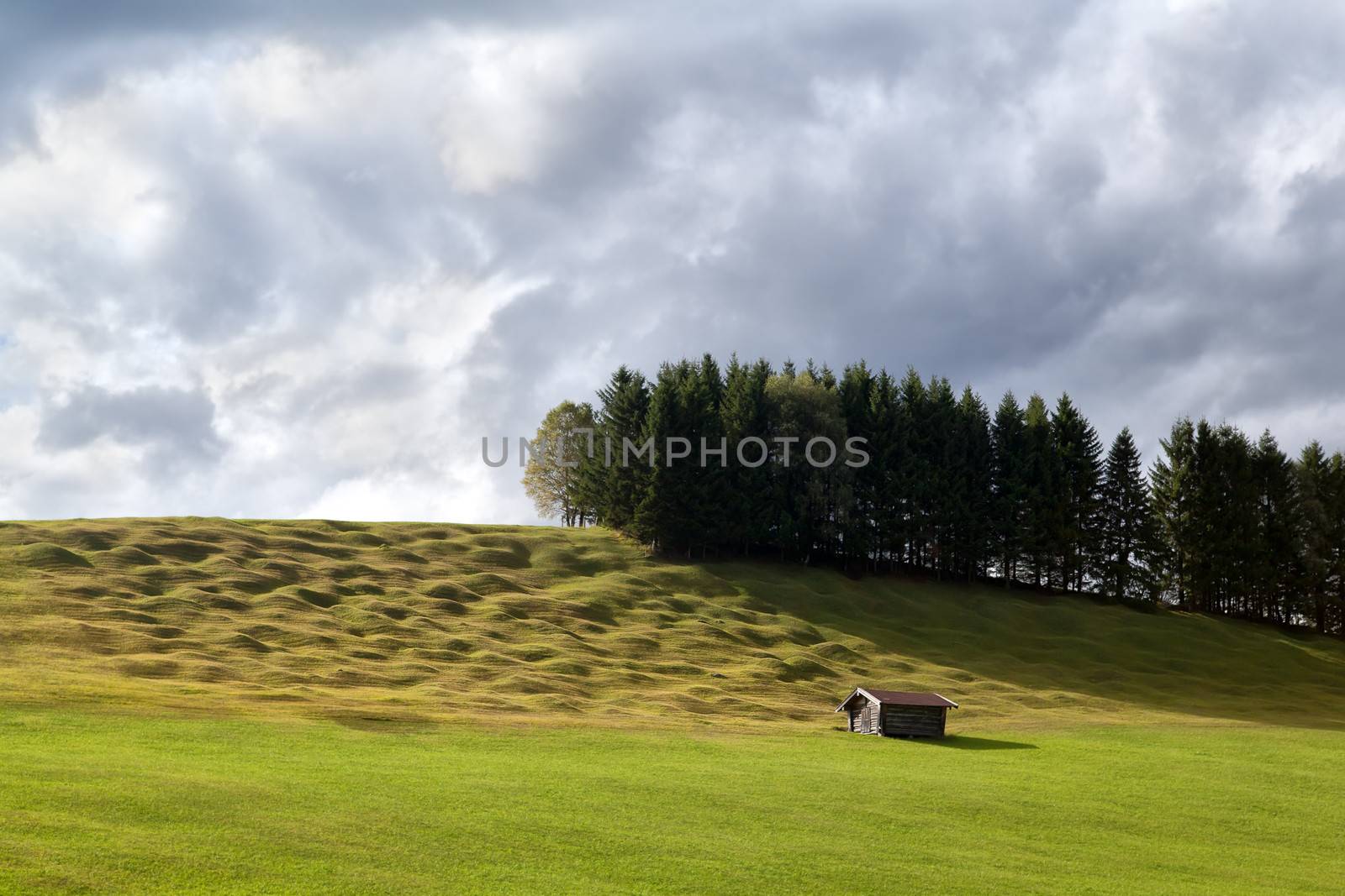 lonely wooden hut on alpine meadows by catolla