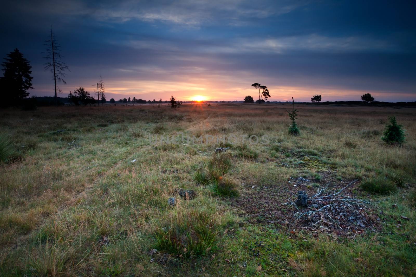 sunrise over dunes and meadows, Drents-Friese Wold, Netherlands