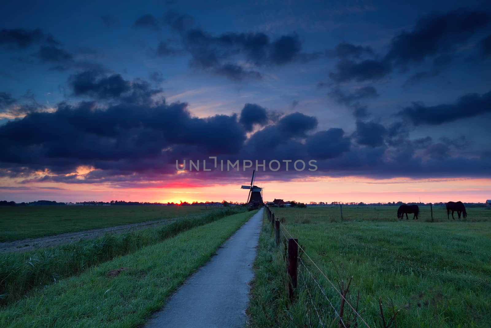 dramatic summer sunrise over Dutch farmland with windmill, Holland