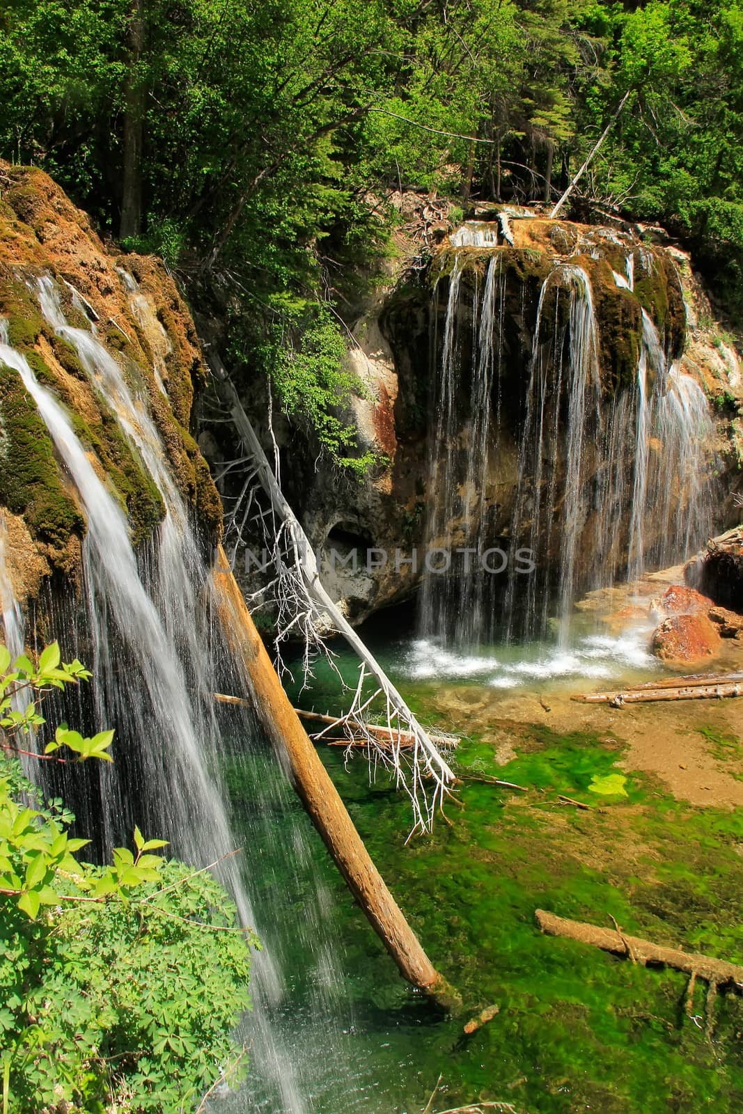 Hanging lake, Glenwood Canyon, Colorado by donya_nedomam