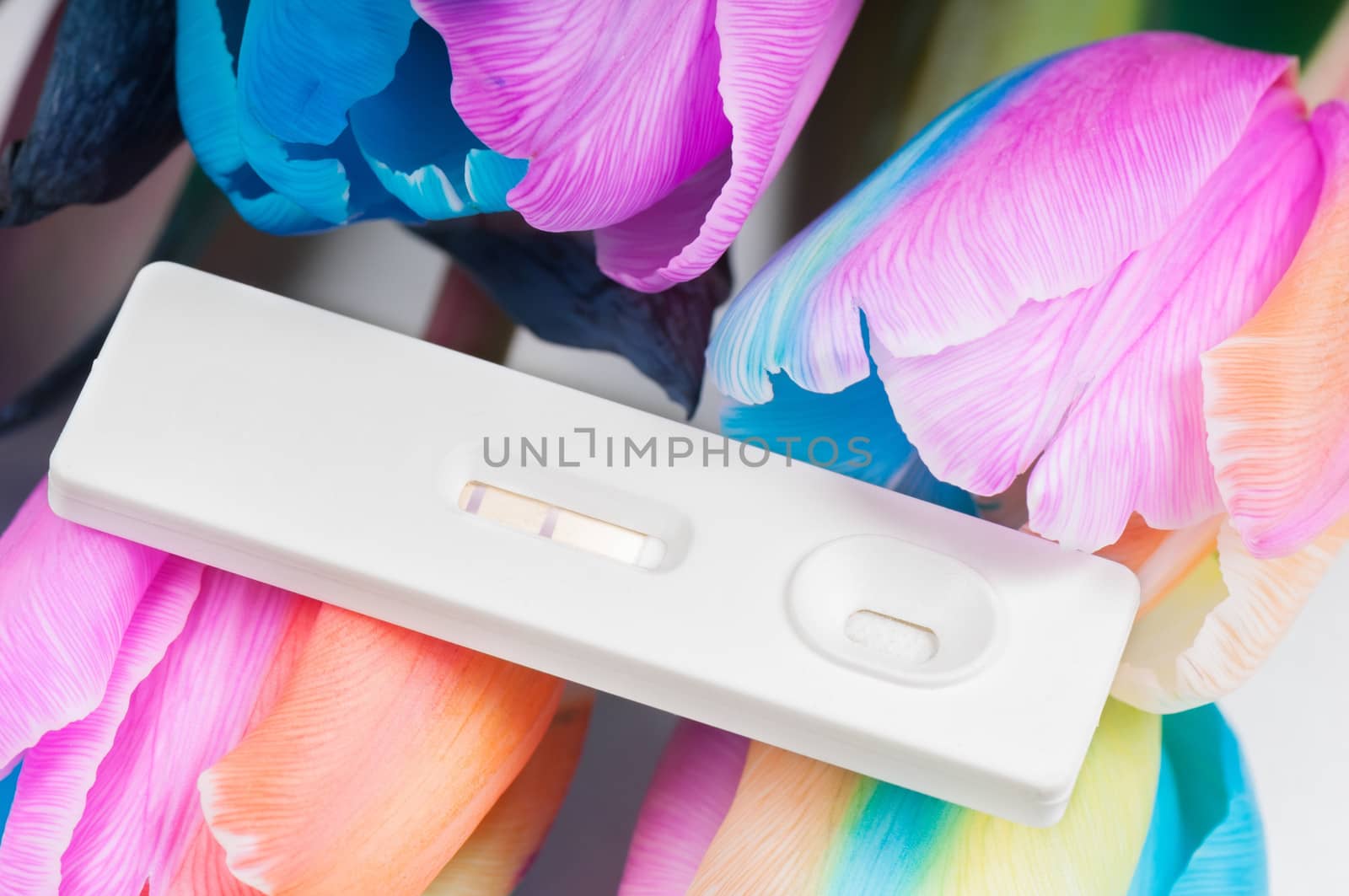 Unusual multicolored tulips and positive pregnancy test