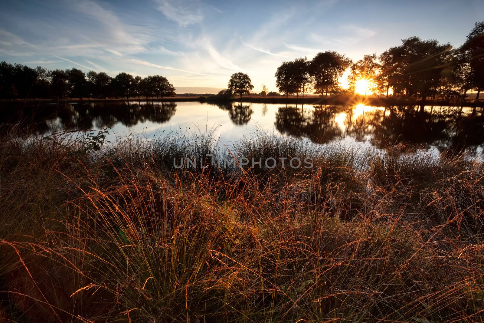 star sunbeams over wild lake at sunset by catolla