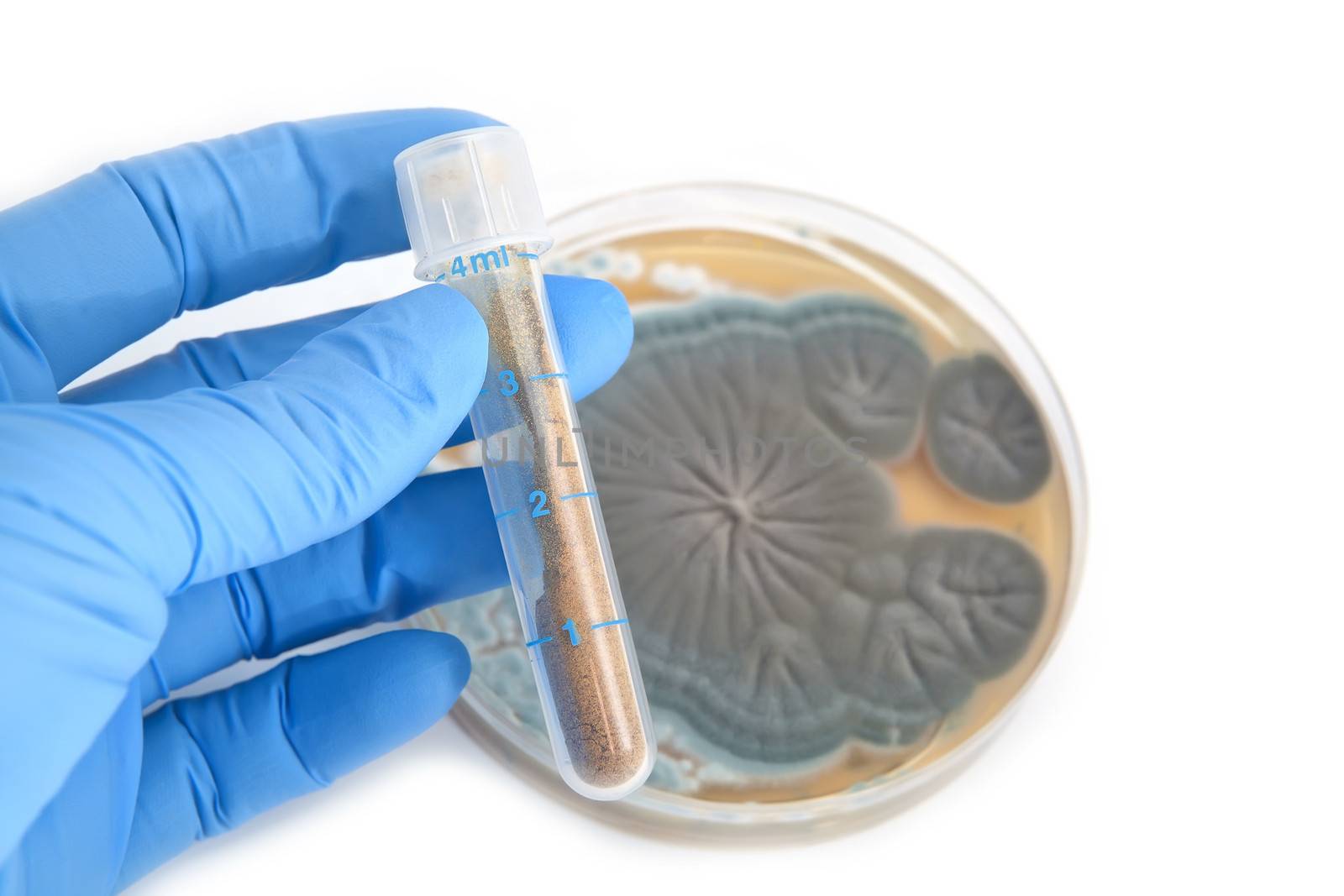 antibiotics in tube and Penicillium fungi on white background