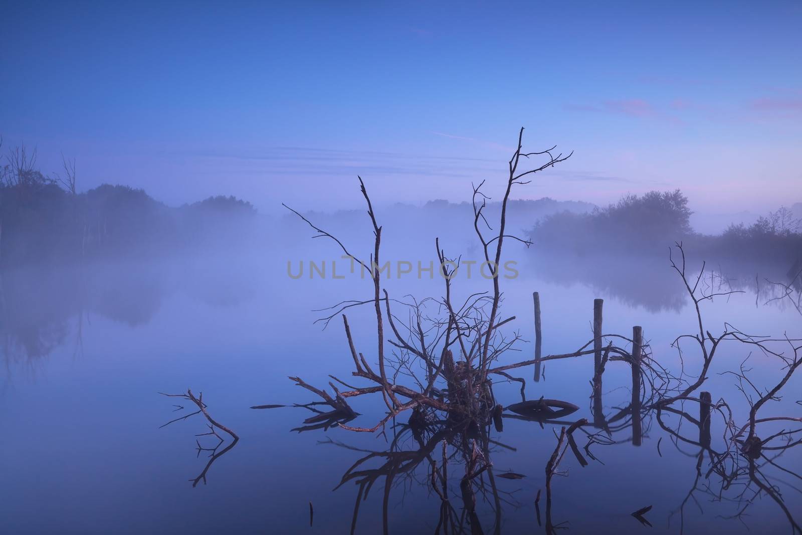 misty sunrise on bog, Drenthe, Netherlands