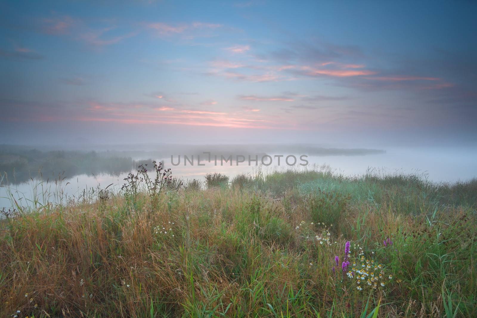 misty summer sunrise over river, Drenthe, Netherlands