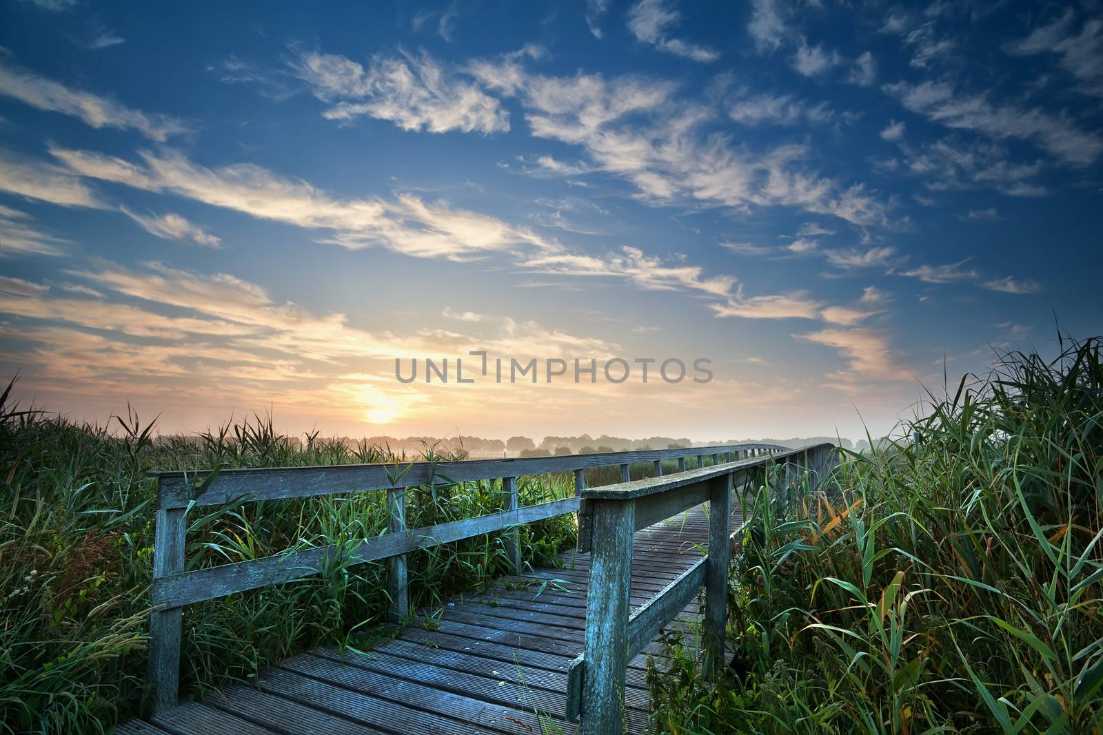 wooden bridge through river for bikes at sunrise, Holland