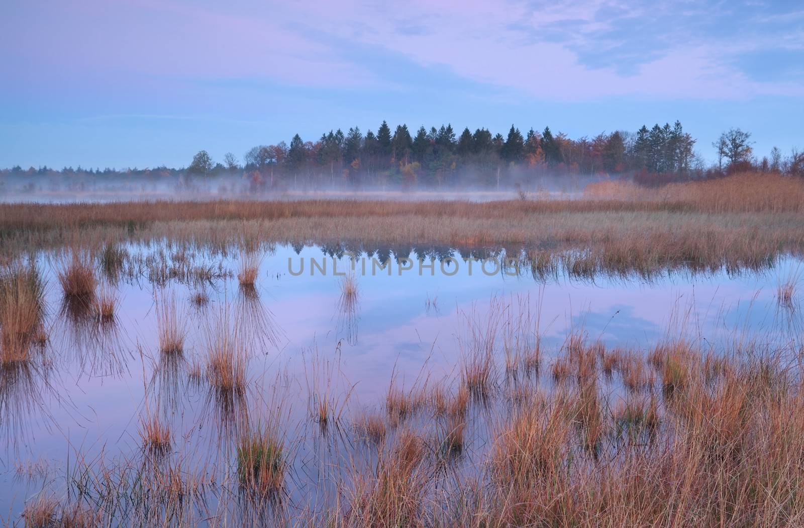 Misty autumn sunrise over swamp in Mandefijld by catolla