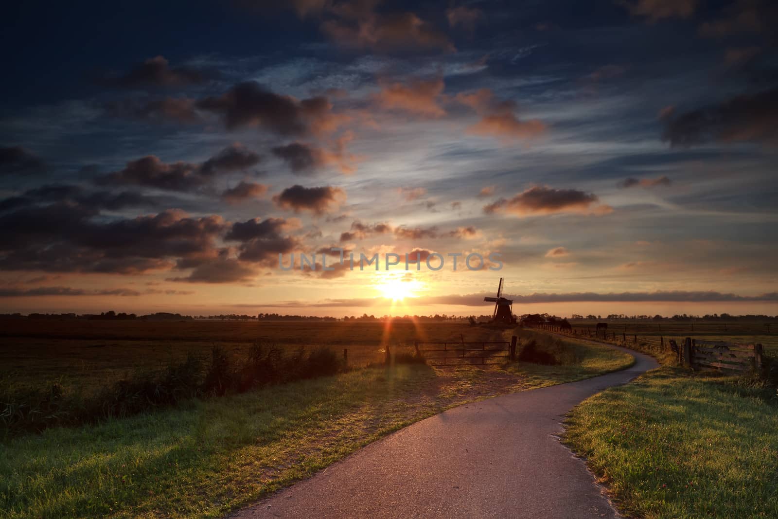 summer sunrise over Dutch windmill on farmland, Holland