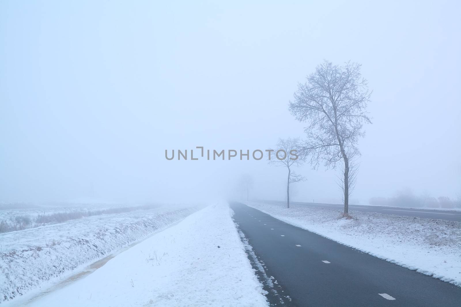 dark road and frosty tree in winter misty day, Groningen, Netherlands