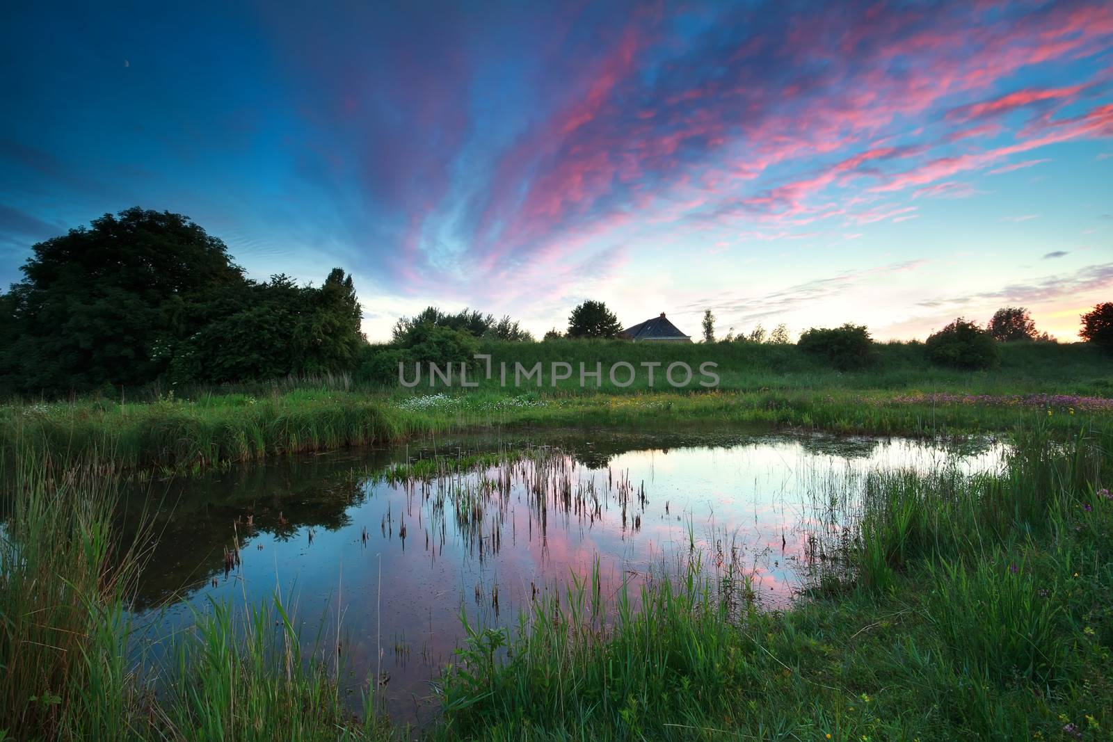 dramatic summer sunset over rural lake in Dutch farmland