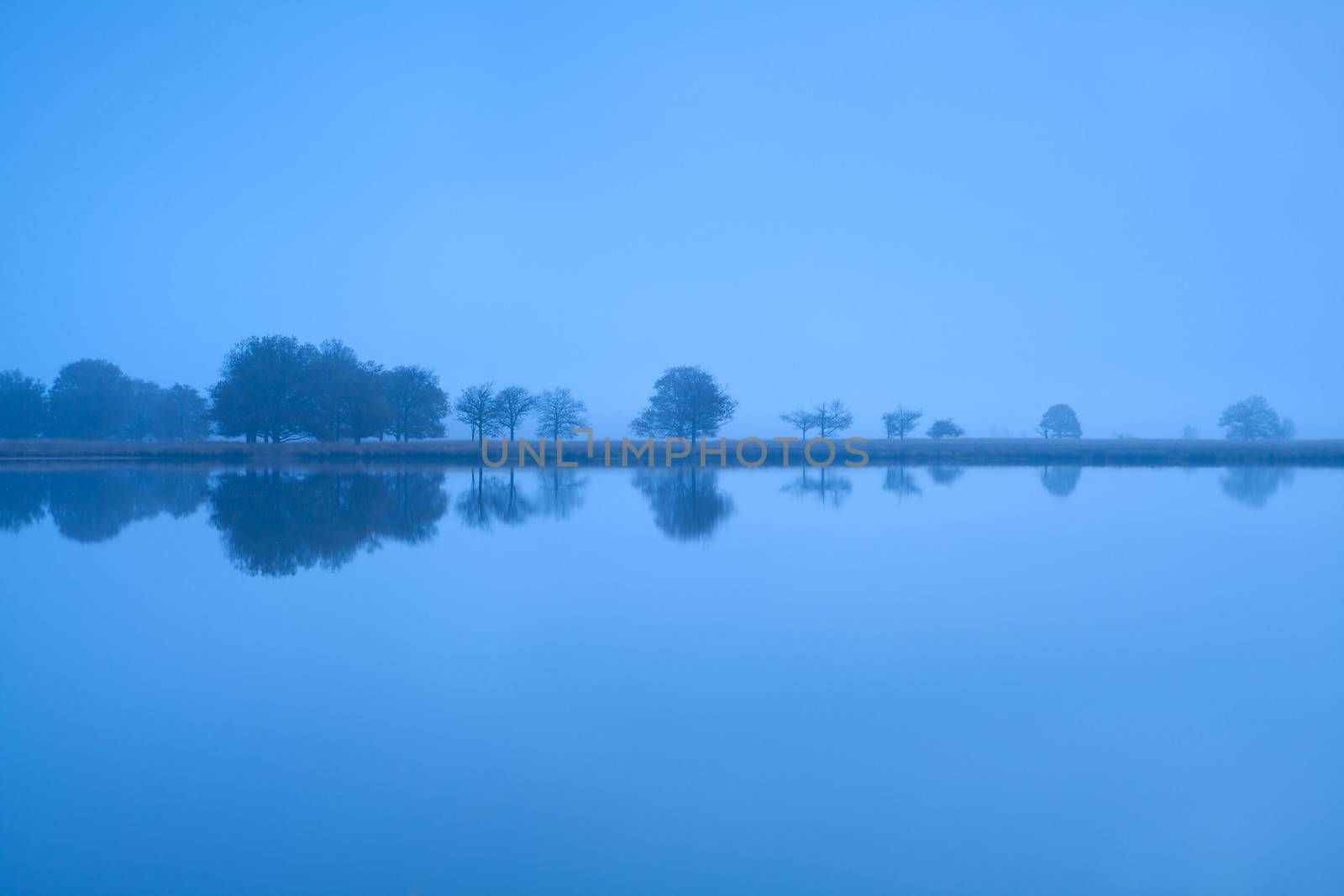 tree reflections in lake water during misty morning by catolla