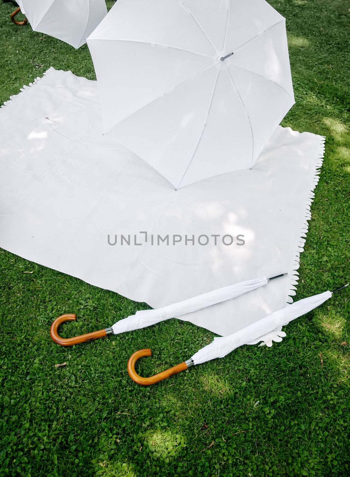 Picnic with white Accessoires on the grass