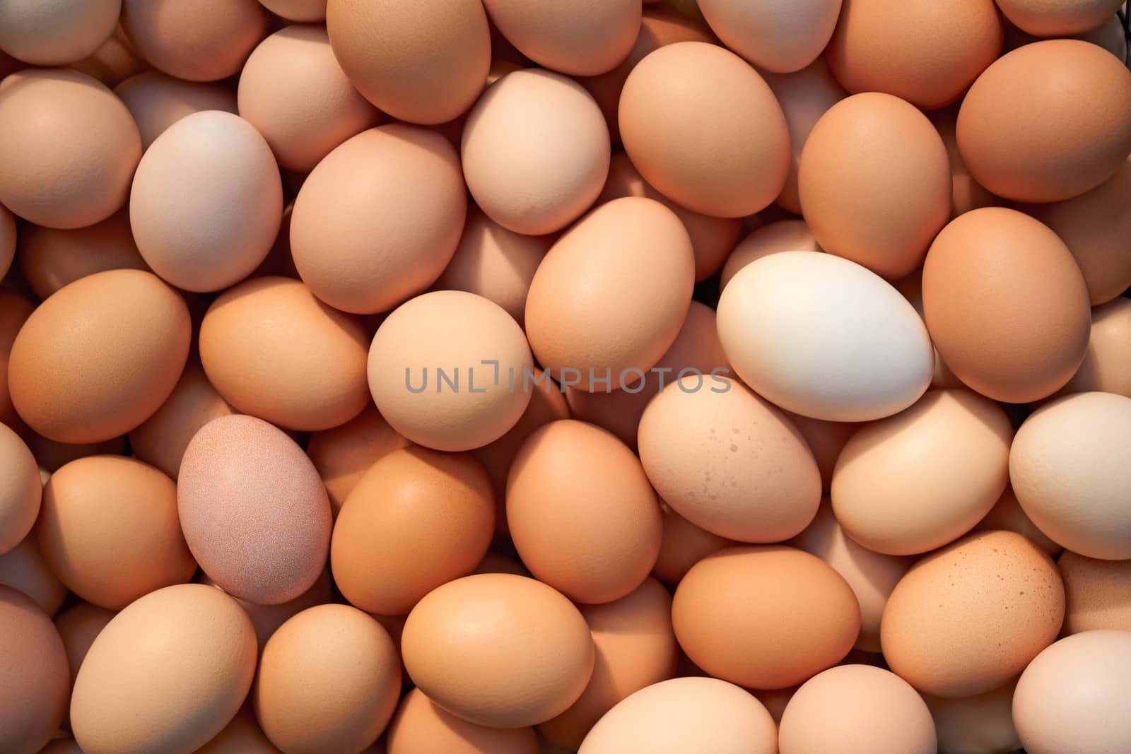 Heap of chicken eggs by qiiip