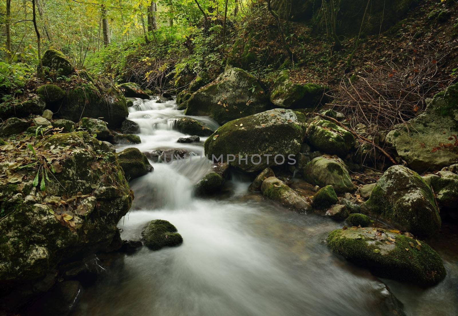 View on the small river cascade over stones in forest