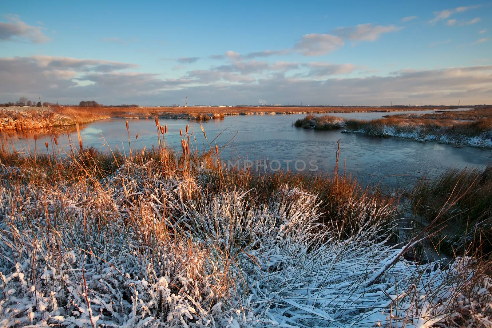 morning sunlight over winter swamp, Drenthe, Netherlands