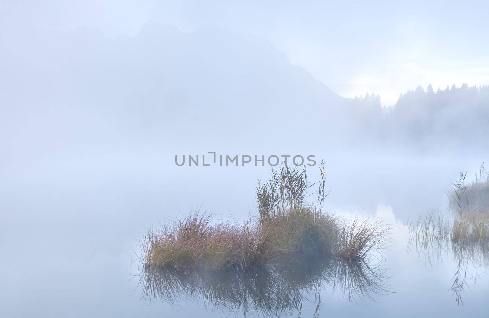 dense morning fog on alpine lake Barmsee by catolla