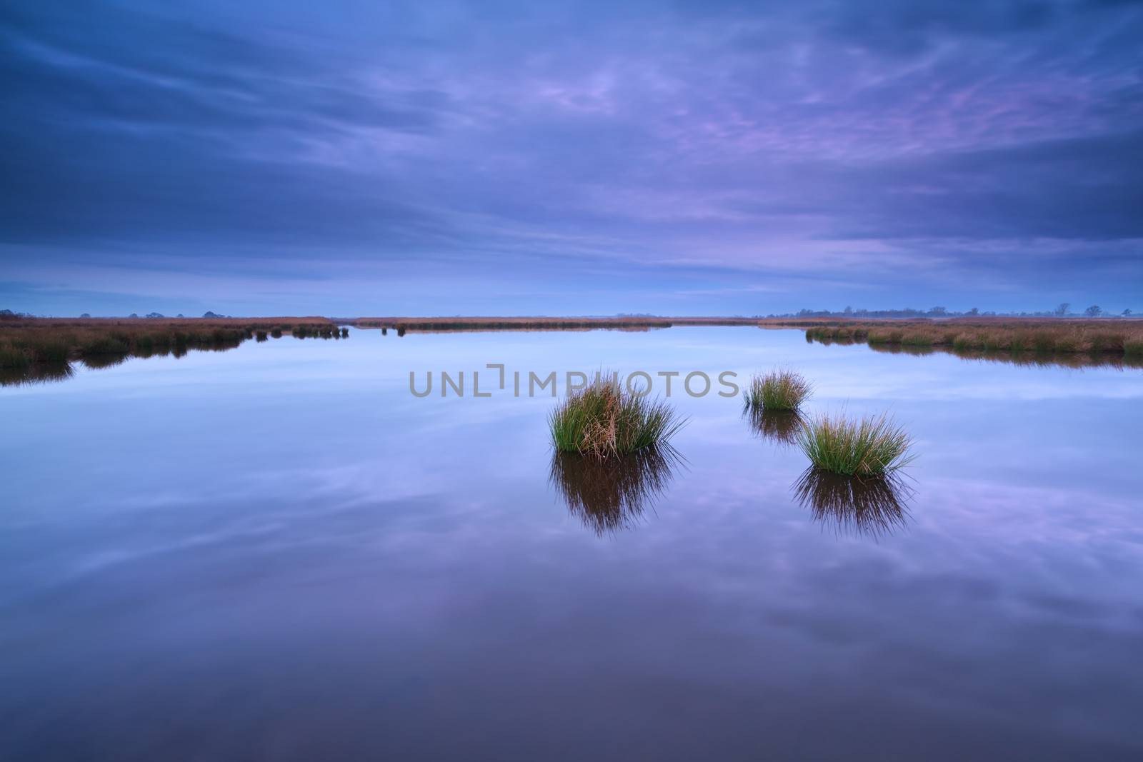 purple autumn sunrise over wild lake, Onlanden, Drenthe, Netherlands