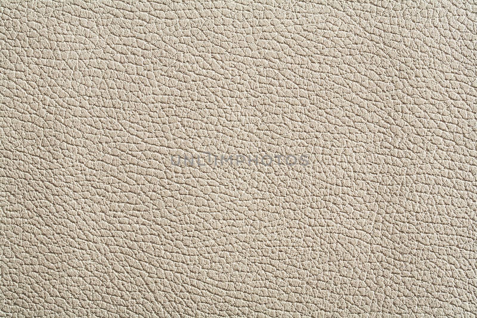 high rezolution texture of white leather