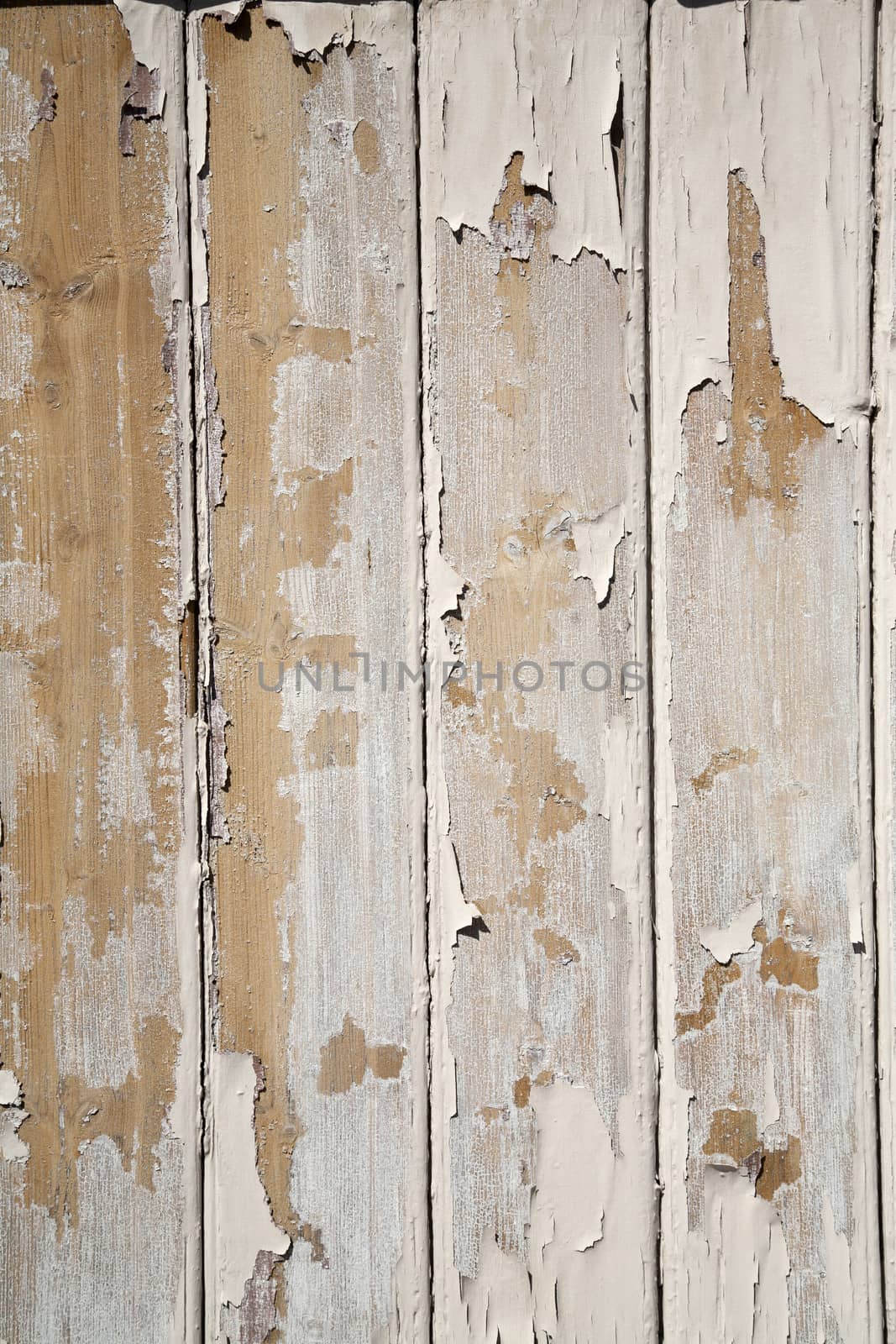 Old clapboards with peeling paint background.