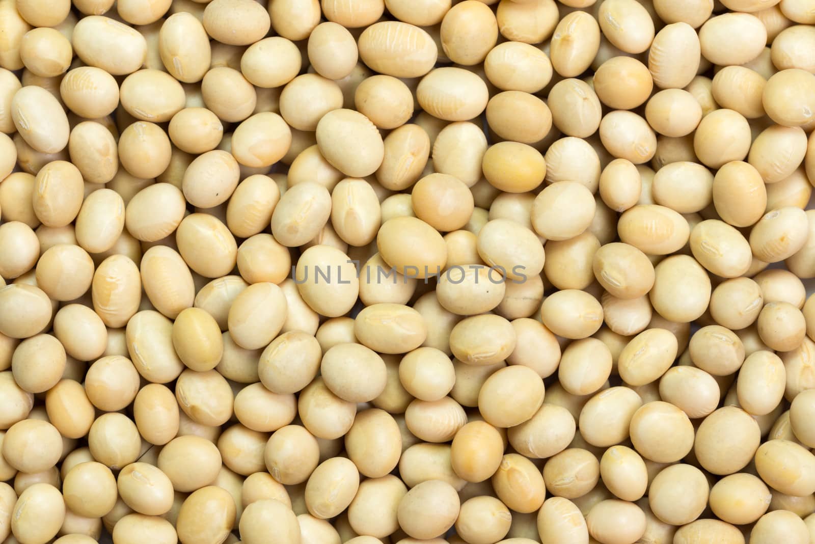 Close up macro image of soya beans