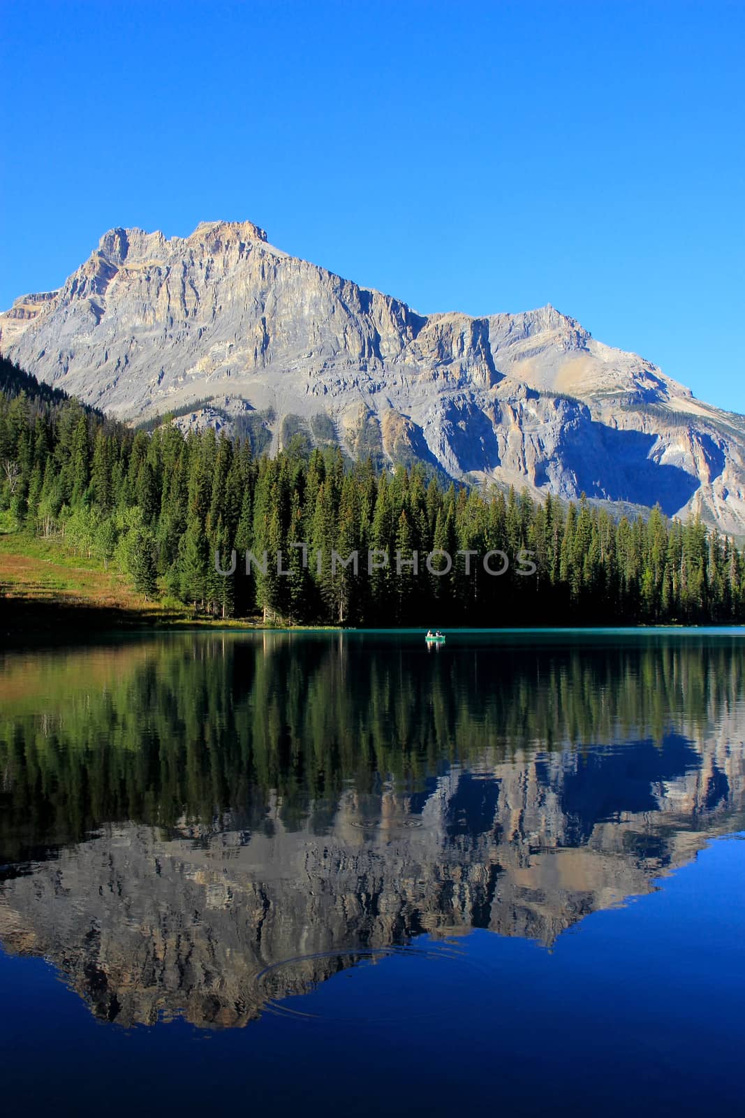 Emerald Lake, Yoho National Park, British Columbia, Canada by donya_nedomam