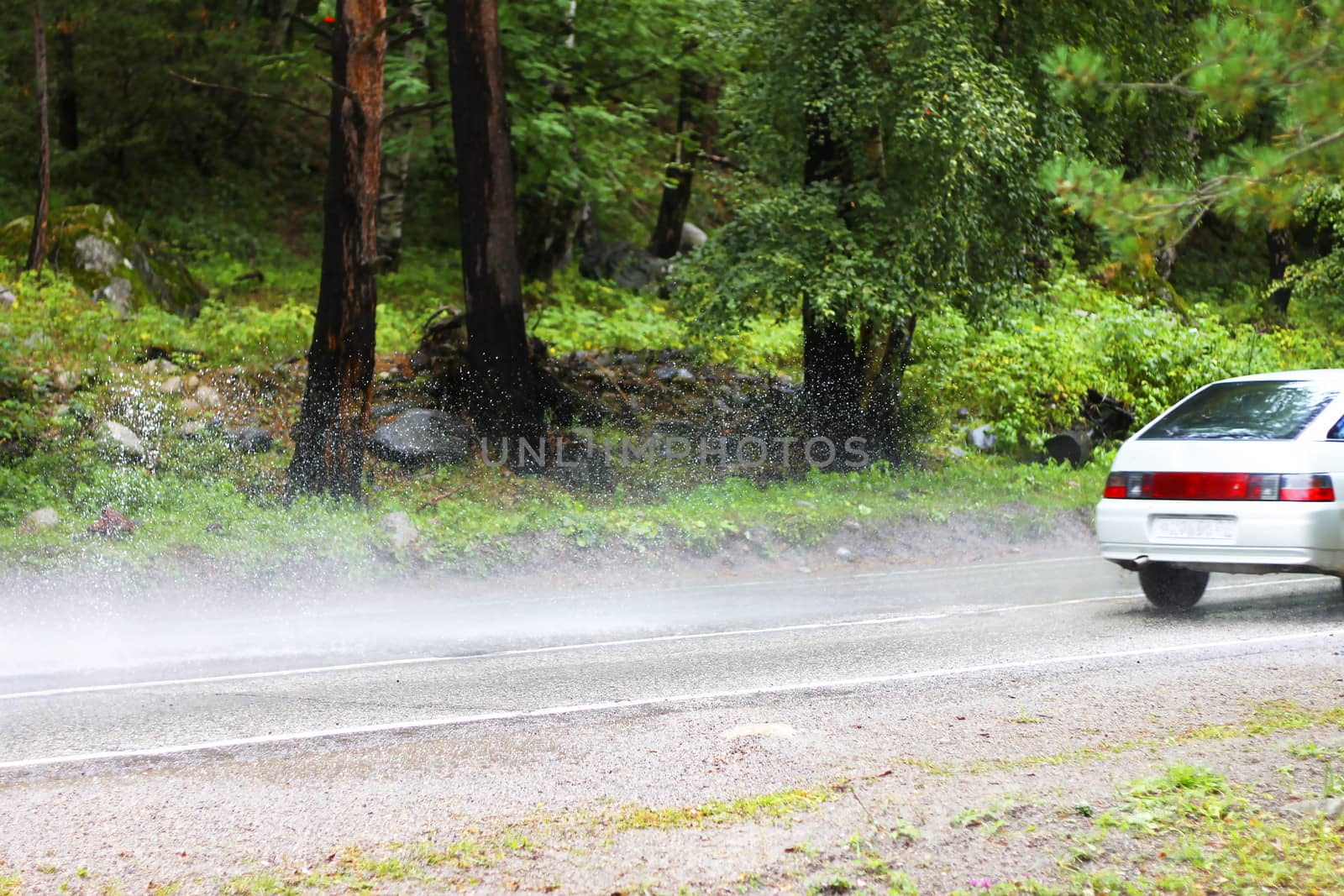 Automobile driving on the puddle on a highway