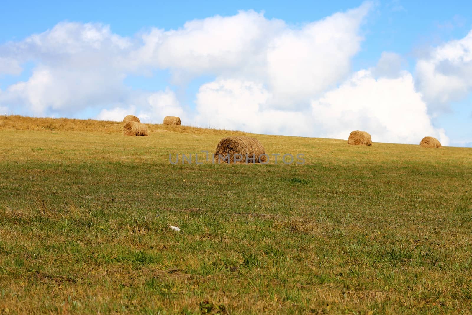 Straw roll bale on the field of farmland