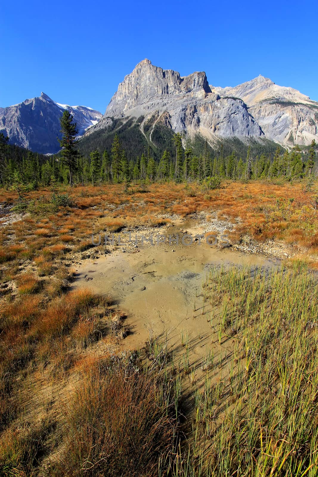 President Range at Emerald Lake, Yoho National Park, Canada by donya_nedomam