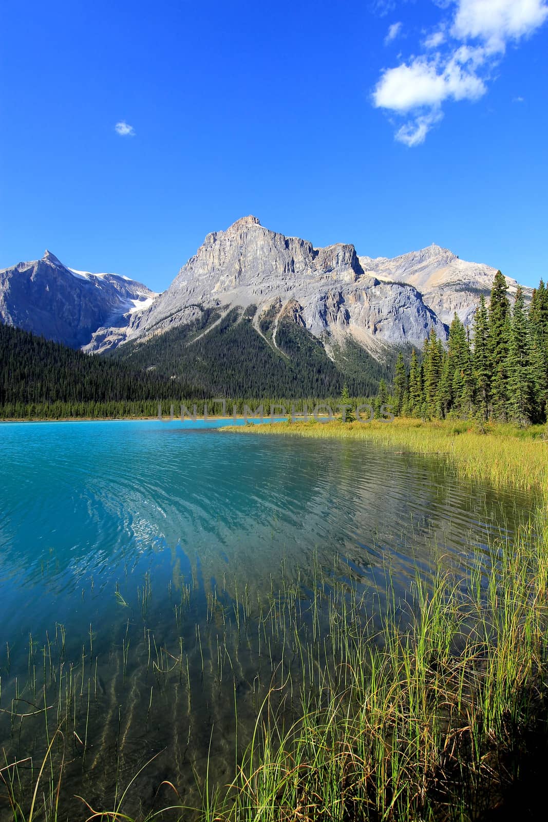 Mountains reflected in Emerald Lake, Yoho National Park, British Columbia, Canada