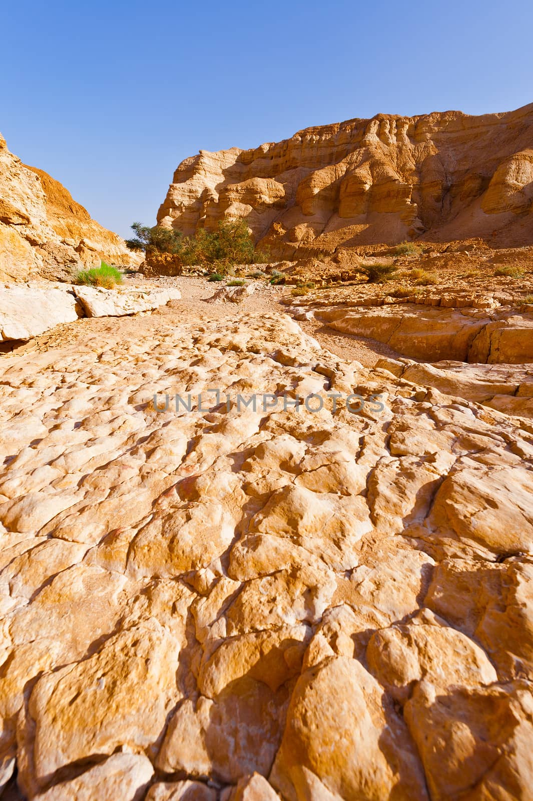 Dry Riverbed in the Judean Desert