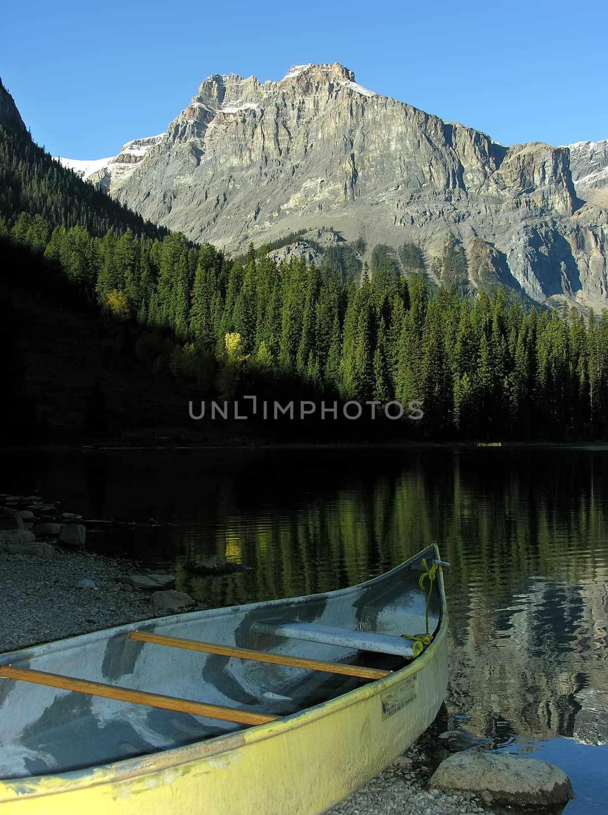 Canoe on a shore of Emerald Lake, Yoho National Park, Canada by donya_nedomam