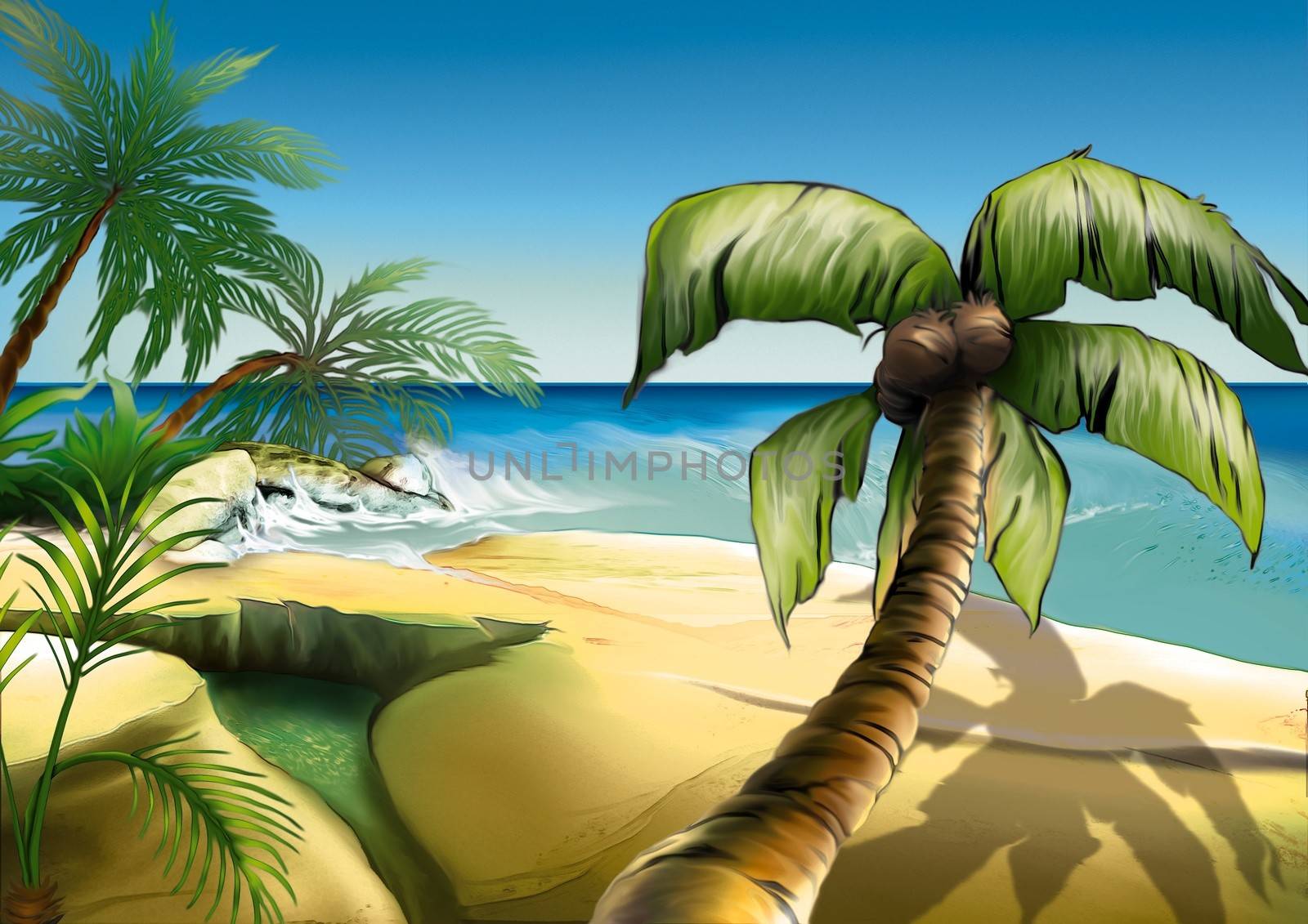Palm Beach - Background Illustration