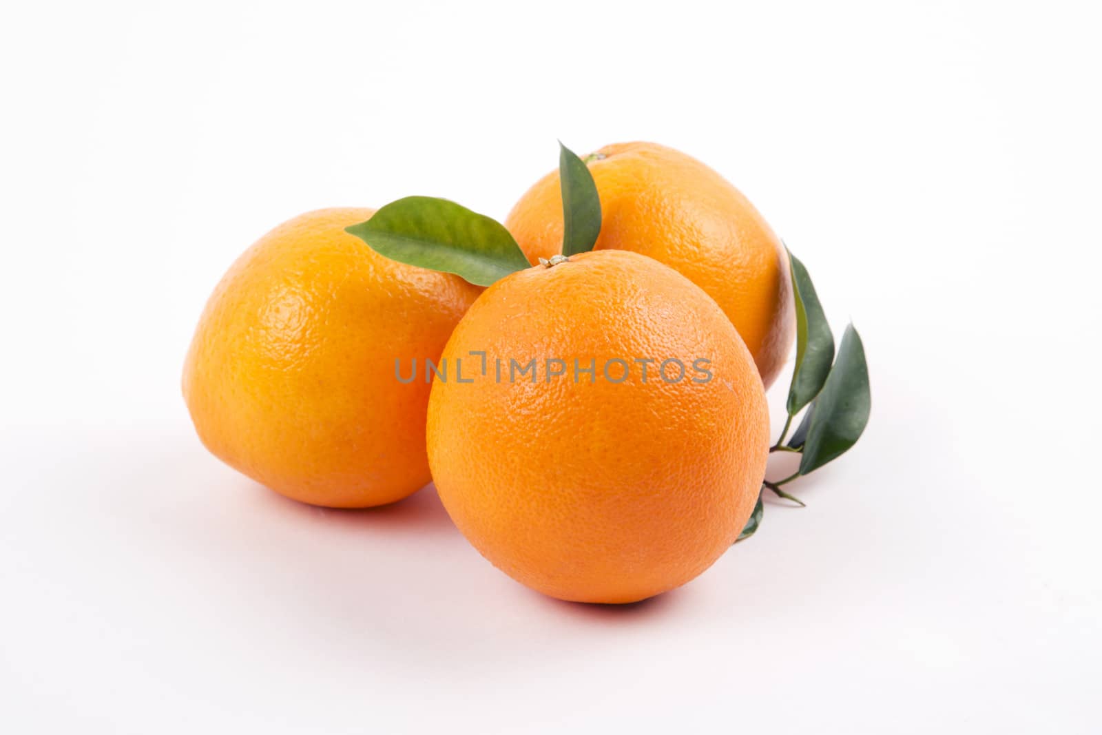 Fresh oranges with leaves on a white background.