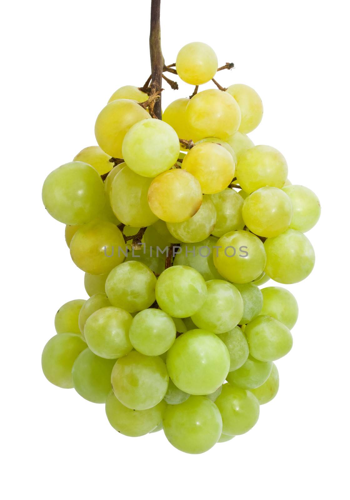 Grapes by sailorr