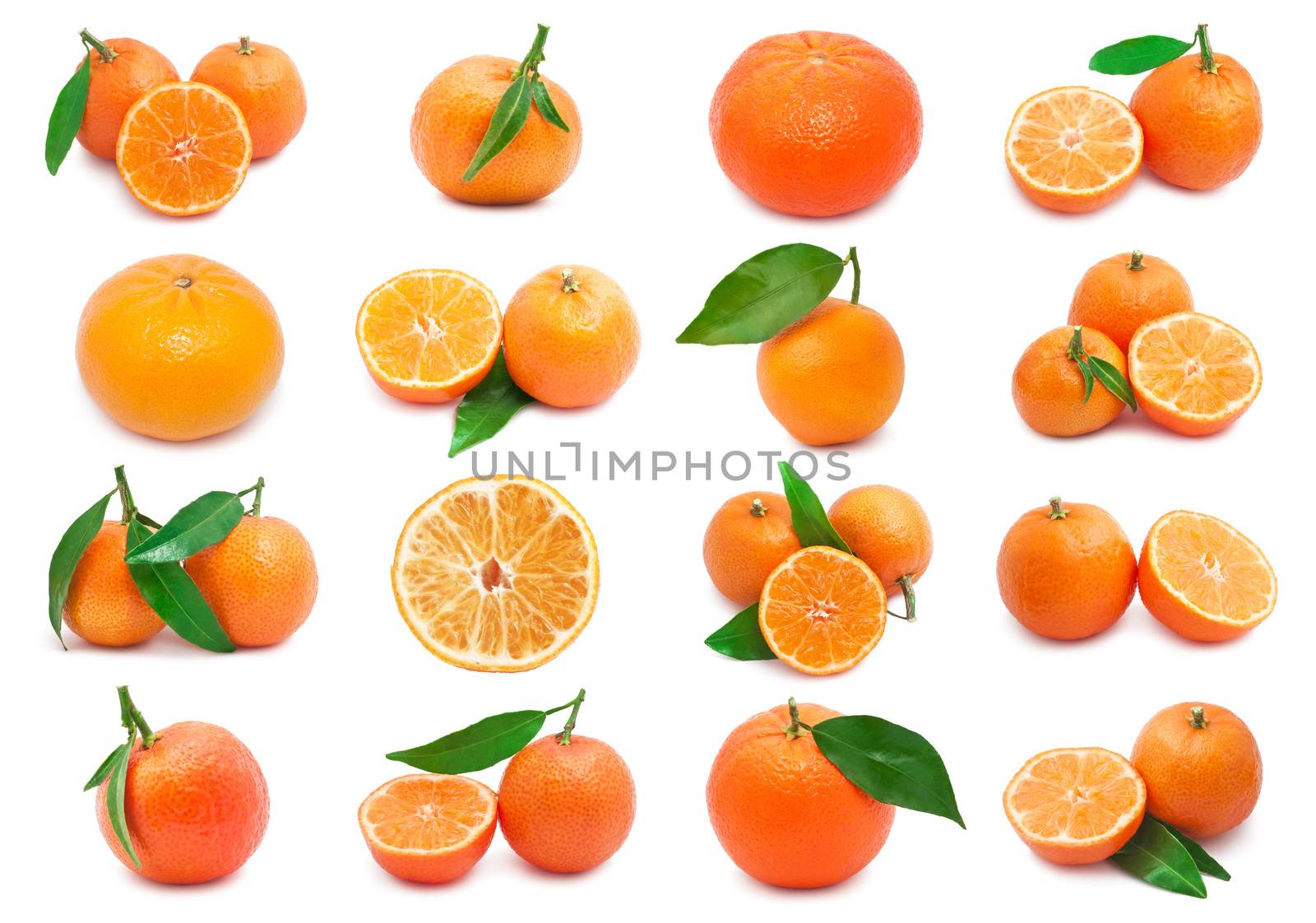 Mandarins by sailorr