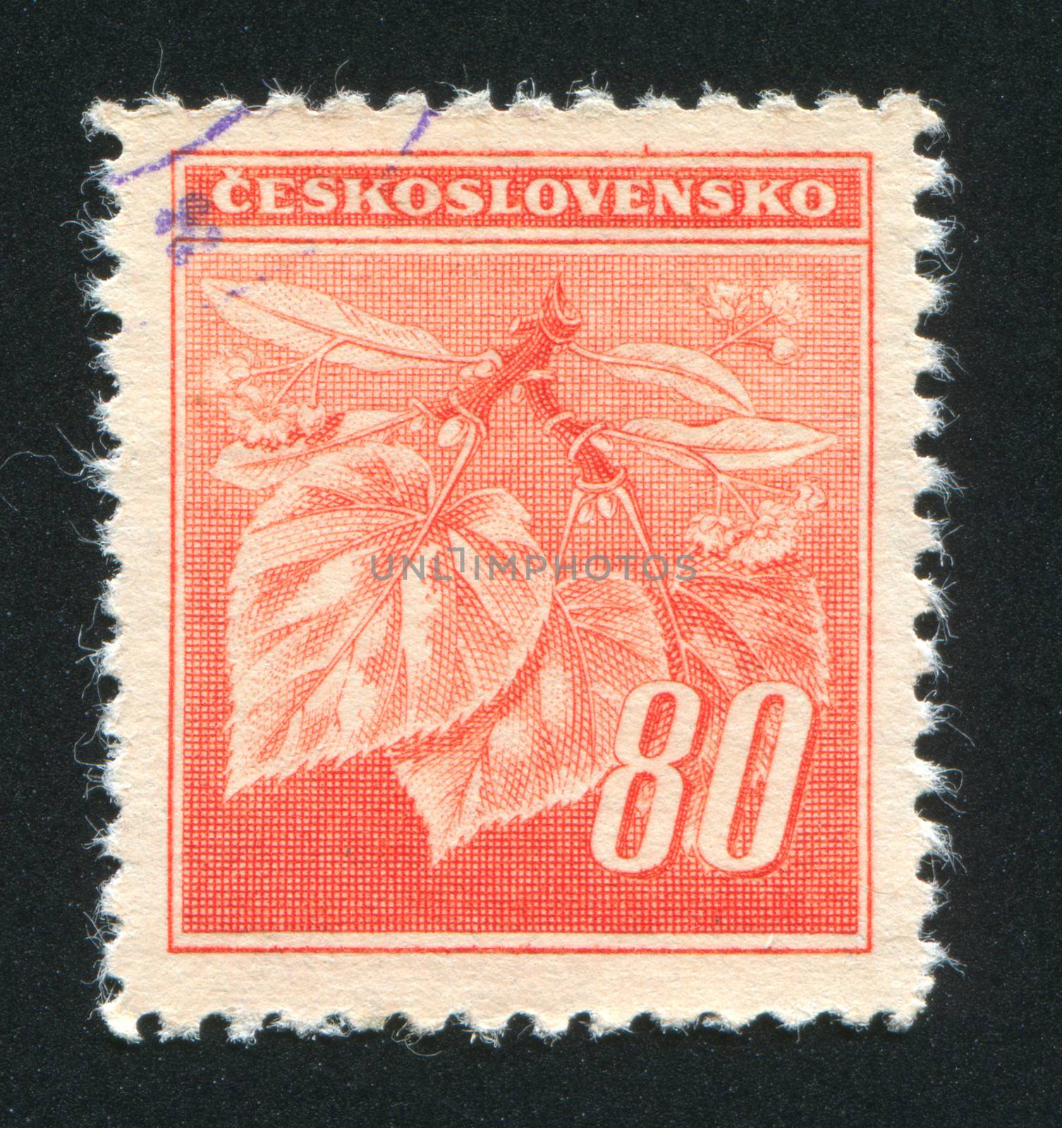 CZECHOSLOVAKIA - CIRCA 1939: stamp printed by Czechoslovakia, shows Linden Leaves and Buds, circa 1939