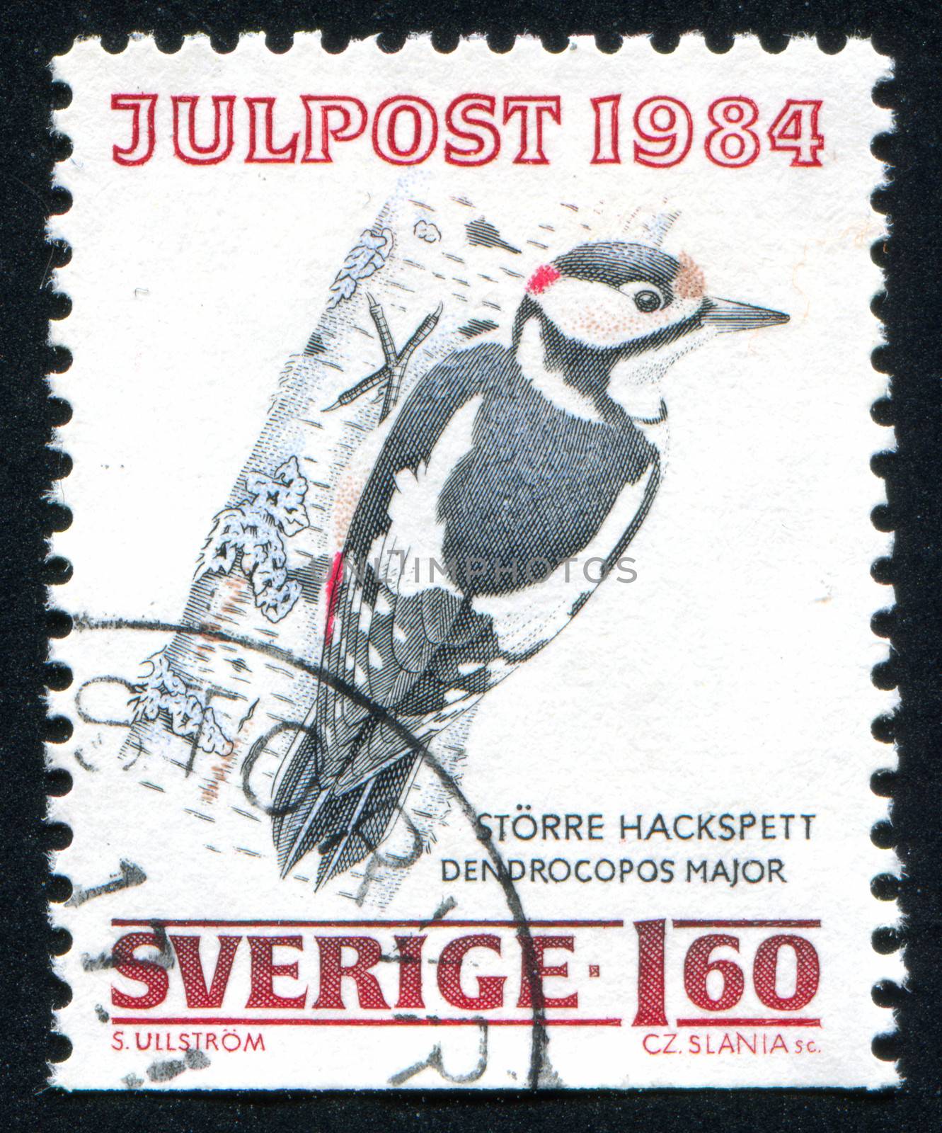 SWEDEN - CIRCA 1984: stamp printed by Sweden, shows Great Spotted Woodpecker, circa 1984